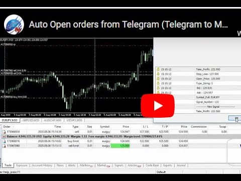 Video Open orders from Telegram