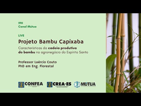 Projeto Bambu Capixaba