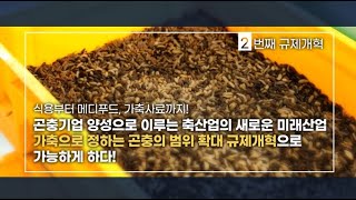 식용부터 메디푸드, 가축사료까지! 가축으로 정하는 곤충의 범위를 규제개혁으로 확대하다. | 2023 규제개혁…