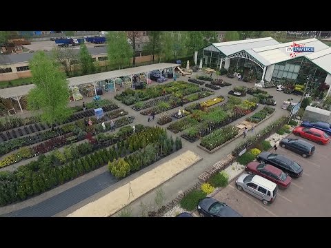 Zawierciańskie mistrzostwa w grilowaniu - itvZawiercie