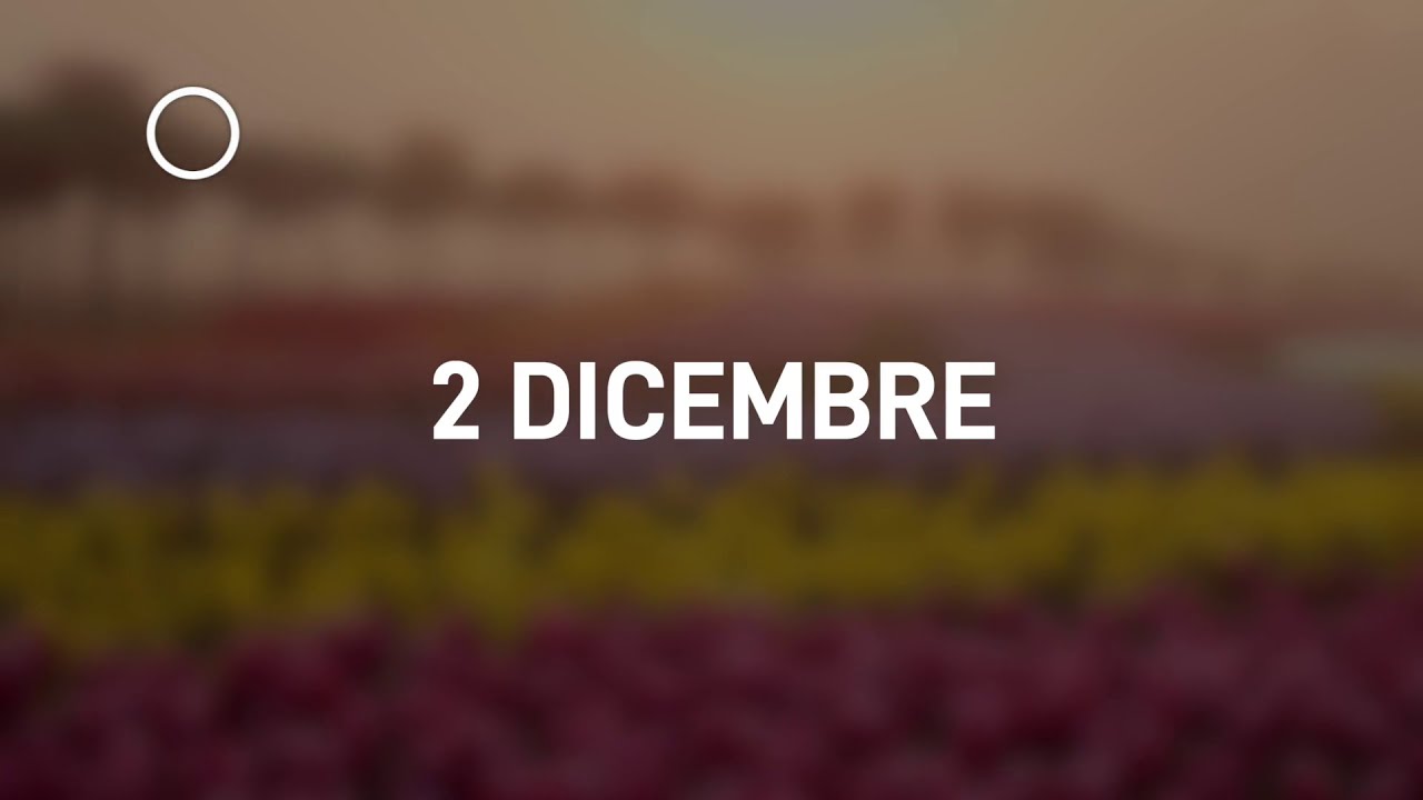 02 Dicembre 2024 | Meditazione Parole di Vita