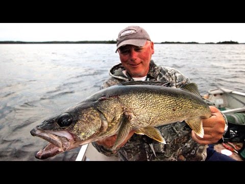 Walleye Bonanza On Lake St Joseph!