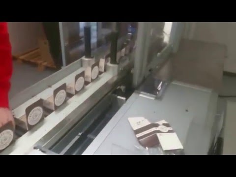 SVM 53 Sürekli TTO, Hollanda’da kekler için Schib Flowpak üzerinde