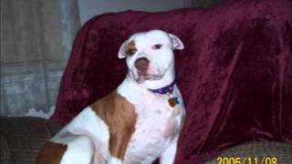 Prove me wrong  .artist song by John berry.photos my furbies...