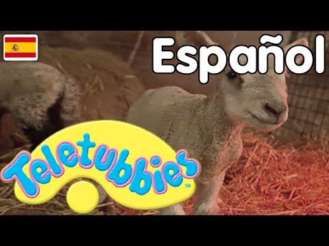 Teletubbies en Español: 106 Capitulos Completos