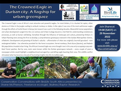 Conservation Conversations: Crowned Eagles in urban landscapes - Dr Shane McPherson (29Nov22)