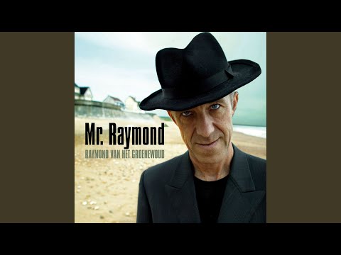 Het Nummer Van God - Raymond van het Groenewoud