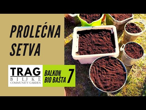 SPRING SOWING - BALCONY OF THE BIOGARDEN 7