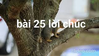 bài 25 lời chúc