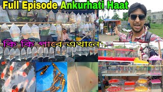অঙ্কুরহাটির পুরো ভিডিও | Aquarium Fish Ankurhati Hat | Howrah Ankurhati Pet Market | Aquarium Fish