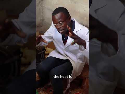 Broiler Chicken Farming broilerchicken poultryfarming chicken poultrymanagement