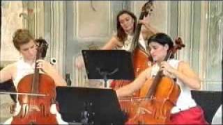 Mozart - Violin Concerto No. 1 KV 207 - 1. Allegro moderato