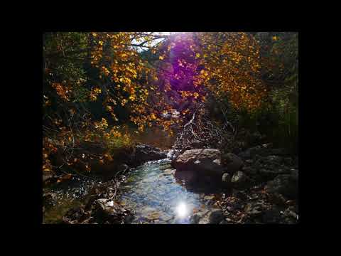 Katy Hooper - Roll River