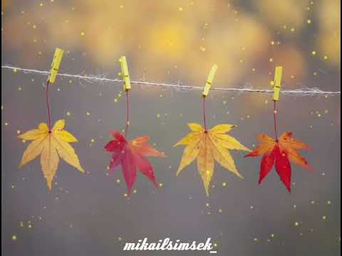 Anlatmak seni. Sayfa sayfalarca..