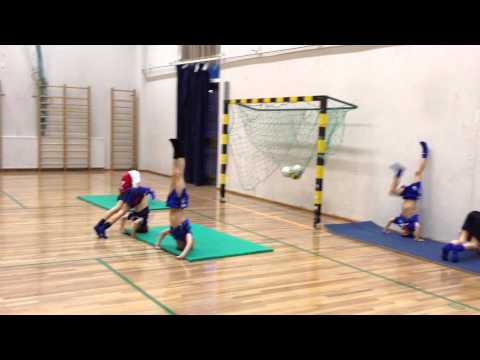 KoiPs Perhosvoltin akrobatiatunnilla 3