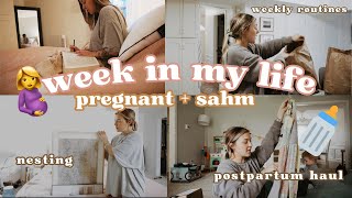 WEEKLY VLOG...home updates, nesting and sahm things