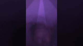 Download lagu arema the jak kita saudara asal jangan viking viking itu anjing mp3