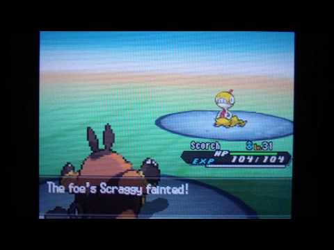 Pokemon Black 2 Walkthrough Part 17:Route 5 and Driftveil Drawbridge!