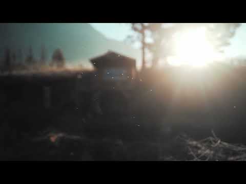 Dusky feat. Pedestrian - Spruce