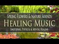 RELAX to Spring Flowers & Nature Sounds - HEALING MUSIC - Music to De-Stress