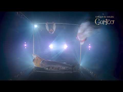 Corteo Antwerpen 2020 - (15 sec - NL - no voice)