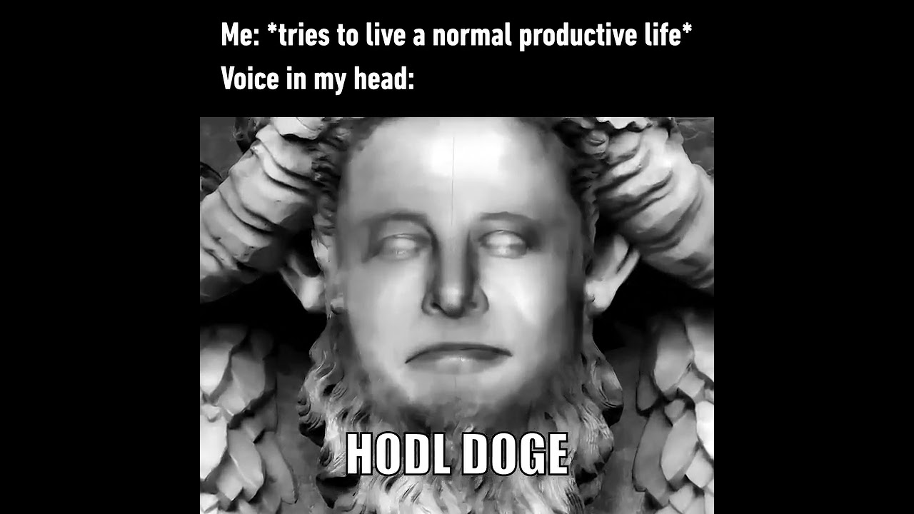 9gag Is Elon your crypto god