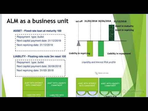 Interest Rate Risk in the Banking Book