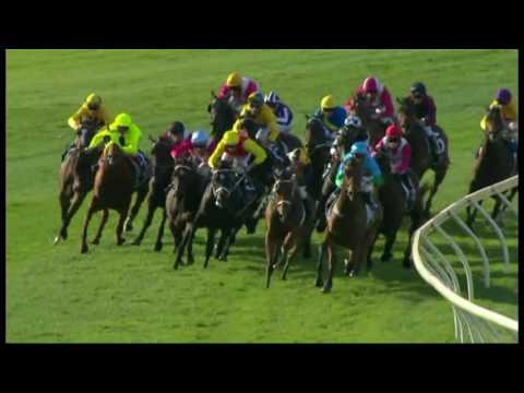 2016.11.19 Railway Stakes (AUS) - Scales of Justice