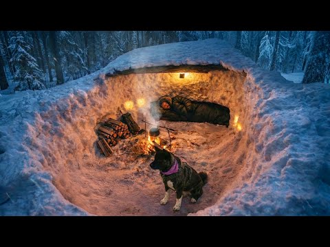SURVIVAL in DEEP SNOW with MY DOG; Extreme WINTER Camping, Bushcraft - No Tent
