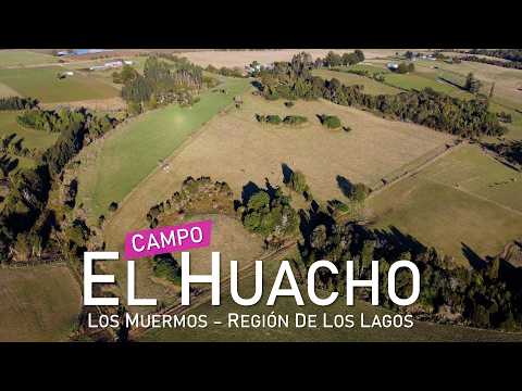 Campo en Los Muermos, El Huacho – Región de Los Lagos