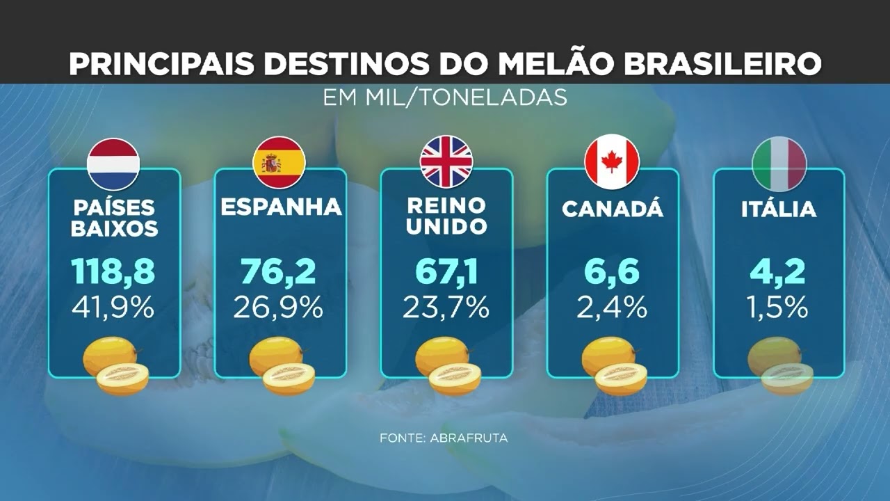 Exportação de melão ganha destaque no TBT do Rural Notícias | TBT RN