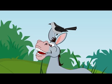 Der Kuckuck und der Esel | Kinderlieder deutsch | German kids songs