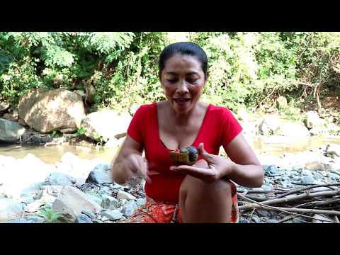 Survival skills: Catch snails & grilled with peppers for food - Cooking snails eating delicious #32 Video