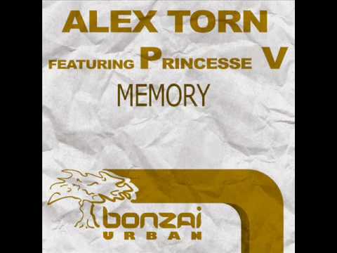 Alex Torn feat. Princesse V - Memory (Pushkar & Jakopetz remix)