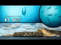 Folge 3 – Wolf Island – Unter Hammerhaien - Galapagos Serie - Deutsch