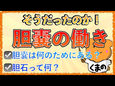 胆汁うっ滞について詳しく解説