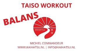 Taiso beweegbingo 'special' BALANS