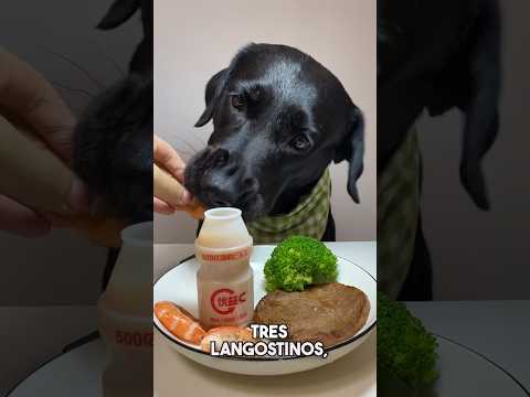 You'll never believe what this dog eats! 😲🥩