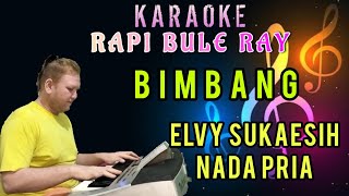 Download lagu BIMBANG - ELVY SUKAESIH | Karaoke | Nada Pria | Lirik mp3