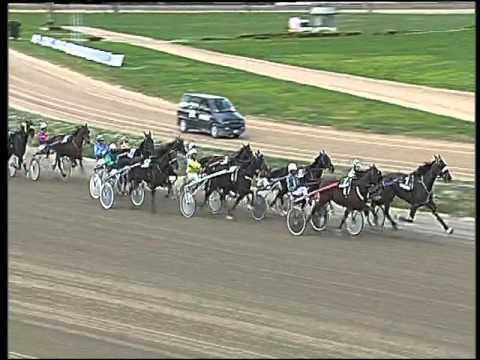 Trotto 13/12/2015 - 1° corsa