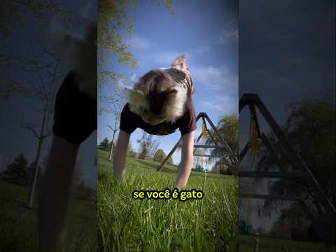 RICHARD RASMUSSEN FALA SOBRE PESSOAS QUE SE ACHAM ANIMAIS! #richardrasmussen #shortsbrasil