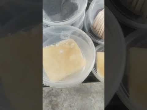 Day 7 Sale Tea Cake, Brownie, Chocolate Cake Return gifts starts from 20rs