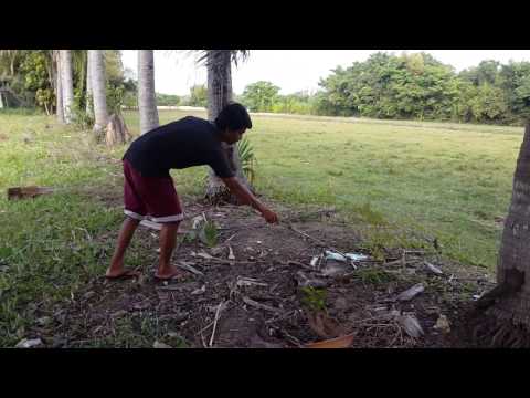 Wow! Two Brave Children Catch Snake Using Snake Trap 2017