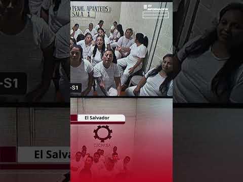 Inicia la audiencia única abierta contra 131 pandilleros de la MS que operaban en La Libertad
