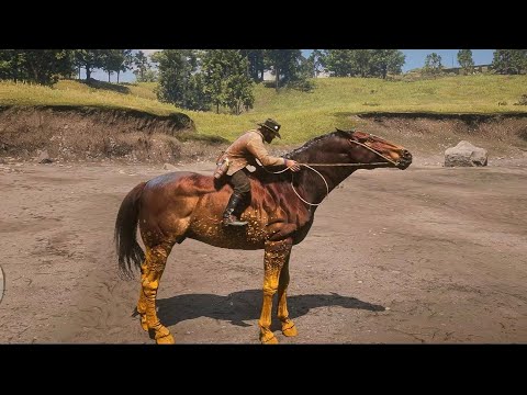Arthur catch a beautiful horse - Red Dead Redemption 2 Gameplay 