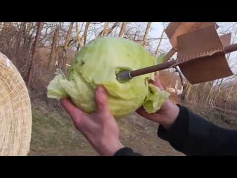 Just a Minute w/ Paula Tiso  The Plumbata