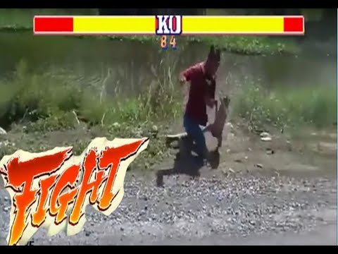 Pelea del mono contra el humano😂