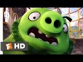 The Angry Birds Movie Save That Egg Scene Fandango Family