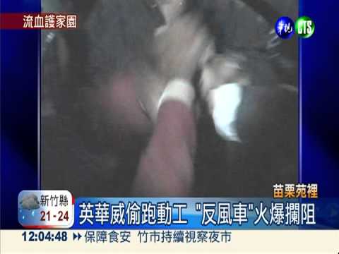 苑裡"反風車"爆衝突 英華威道歉