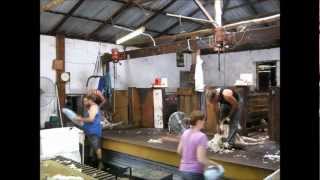 preview picture of video 'Sheep Shearing - Kojonup - Western Australia'